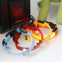 Waterproof Usb rechargeable dog collars/dog collar led